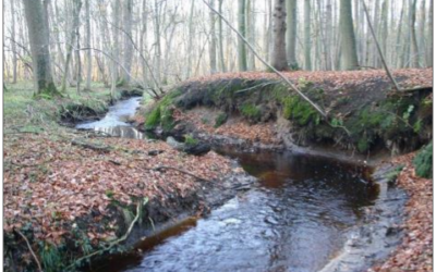 Der Klosterbach – unsere Lebensader